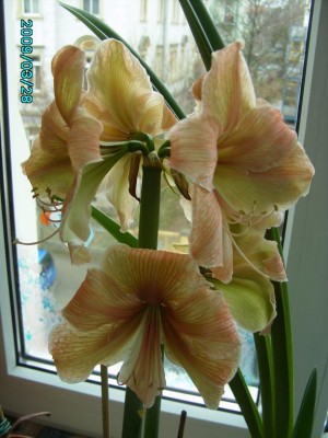 PICT0672.JPG