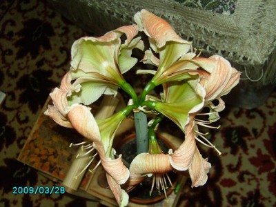 PICT0670.JPG