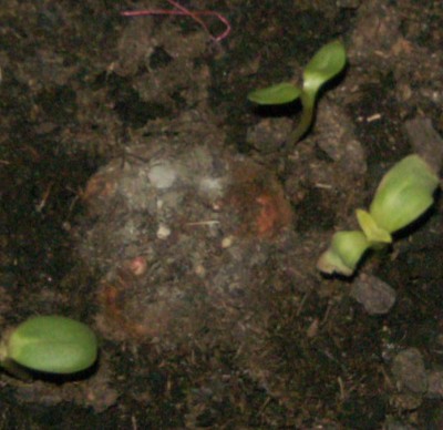 BILD0269.JPG