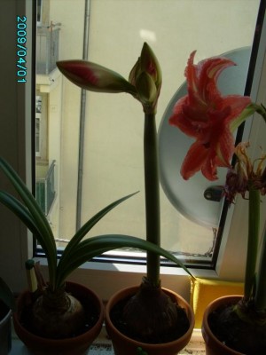 PICT0687.JPG
