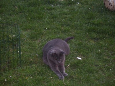 Frühling garten (76).JPG