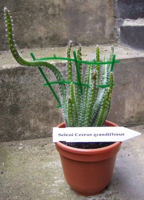 100_2005.jpg