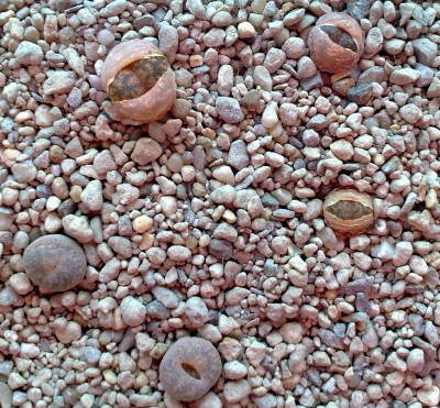 01042009442.jpg