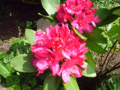 DSCF2107.JPG