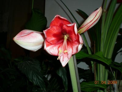 DSCN34140001.JPG
