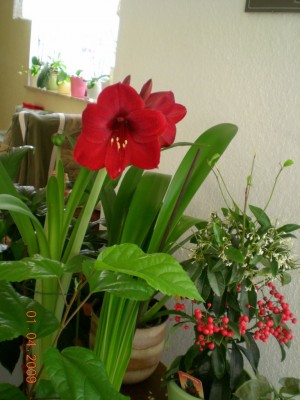 DSCN34020001.JPG