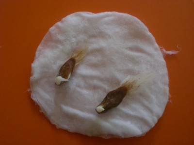 Bild 363.jpg