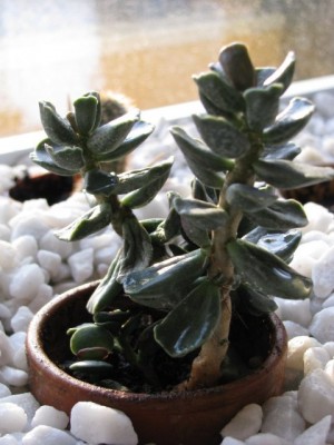 04_20090402.JPG