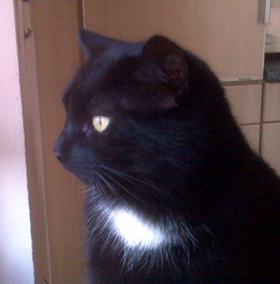 IMG00037b.jpg
