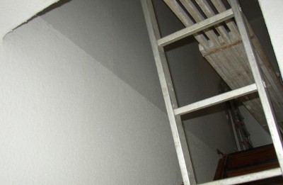 P1010034_01.jpg