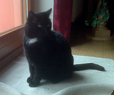 IMG00036b.jpg