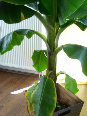 Bild 115.jpg
