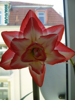 PICT0742.JPG