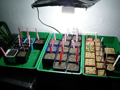 DSCI0001.JPG