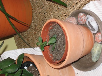 Bild 028_1600x1200.jpg