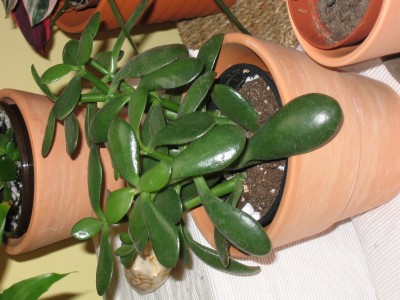 Bild 029_1600x1200.jpg