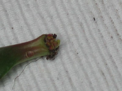 Bild 013_1600x1200.jpg