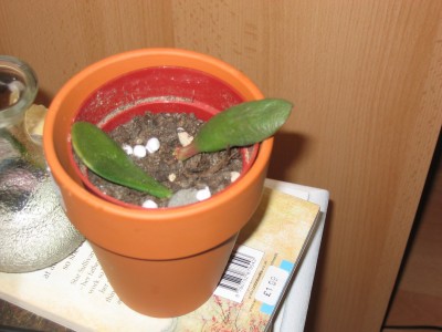 Bild 033_1600x1200.jpg