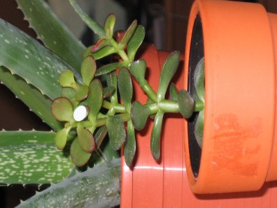 Bild 031_1600x1200.jpg