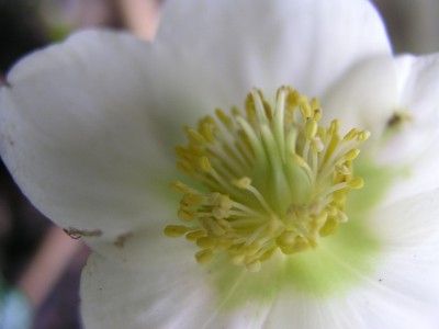 P1010114.JPG