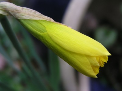 P1010111.JPG