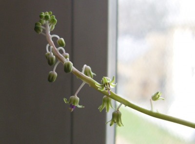 05.04. (3) - Kopie.JPG