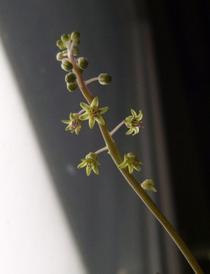 05.04. (1) - Kopie.JPG