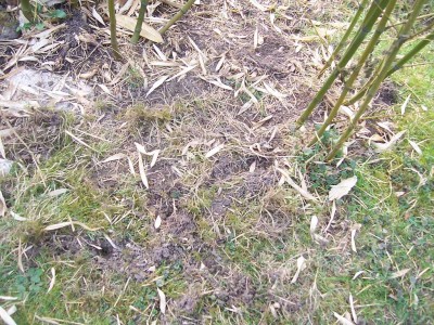 100_4527.JPG