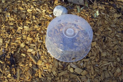 WS 2008-2009 004.jpg