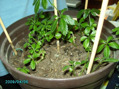 PICT0768.JPG