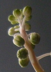 05.04. (2) - Kopie.JPG