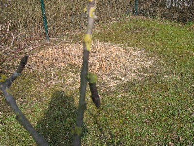 garten203.09 022.jpg