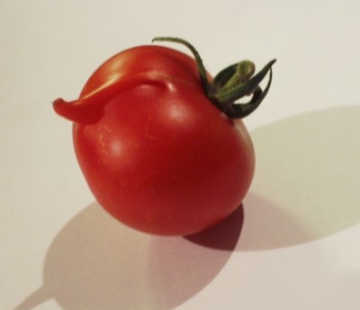 happy-tomato.JPG