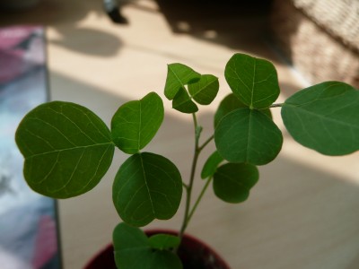 P1020330.JPG
