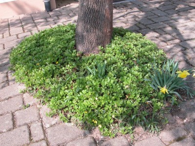 DSCN3673k.JPG