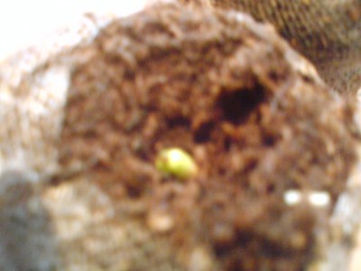 DSC00090.JPG