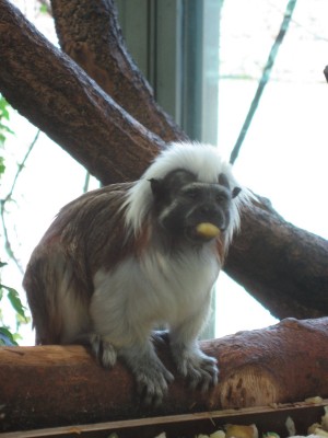 IMG_4694.JPG