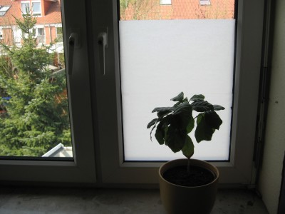 IMG_0001.JPG
