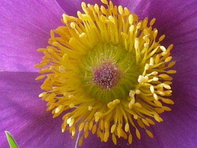 RSCN35120001.JPG