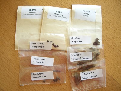 Osterwichteln 12.04.09 (1).jpg