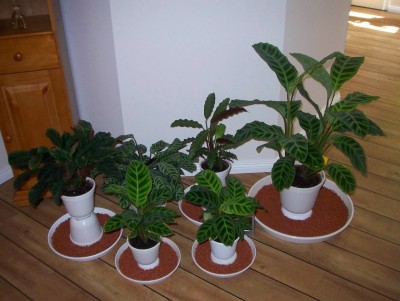 100_4531.jpg