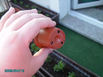 PICT0837.JPG