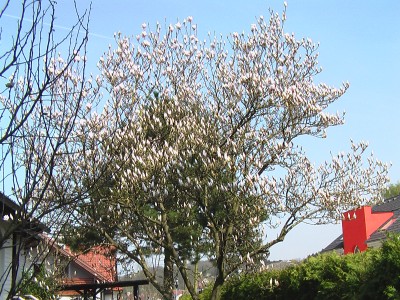 IMGA0616.JPG