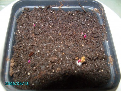 PICT0840.JPG