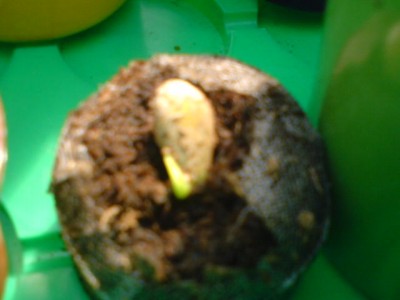DSC00112.JPG