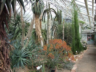 DSCF2954.JPG