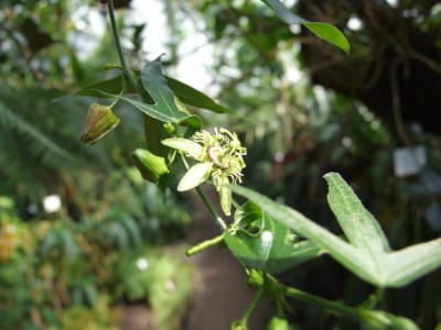 DSCF2946.JPG