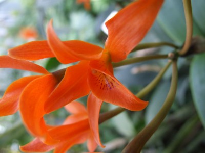 DSCF2945.JPG