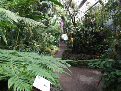 DSCF2942.JPG