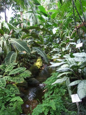 DSCF2965.JPG